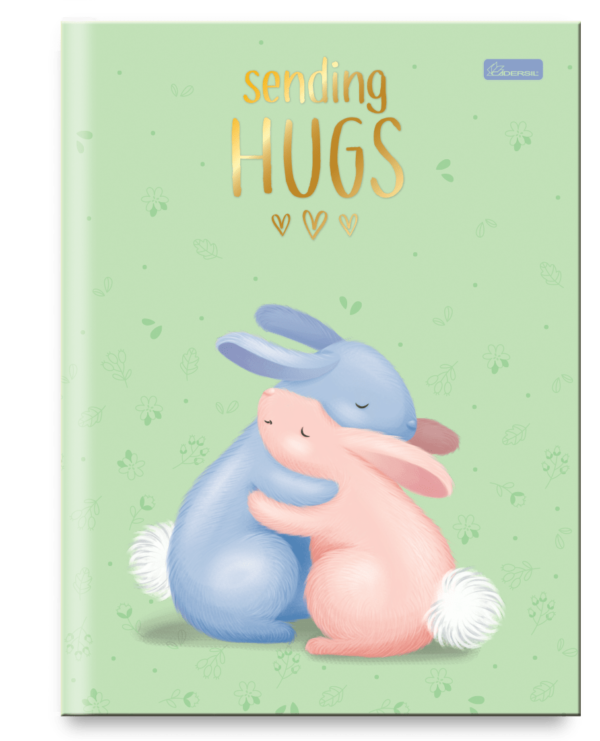 Caderno Brochura Capa Dura Universitário- Sending Hugs - Imagem 4
