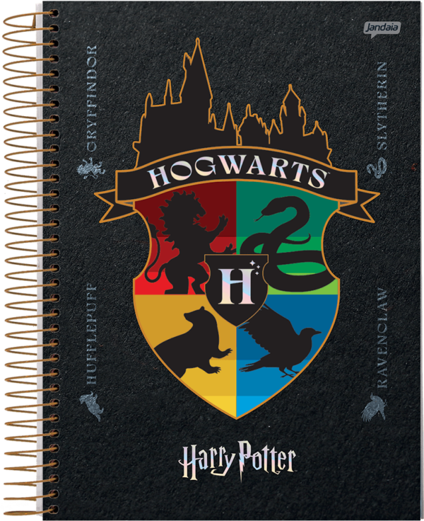 Caderno Espiral Universitário Capa Dura 10 Matérias Harry Potter 200fls- Jandaia - Image 6