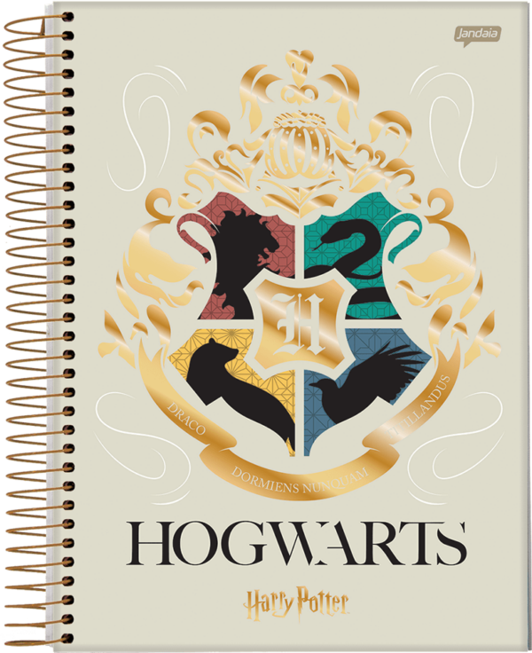 Caderno Espiral Universitário Capa Dura 10 Matérias Harry Potter 200fls- Jandaia - Image 4