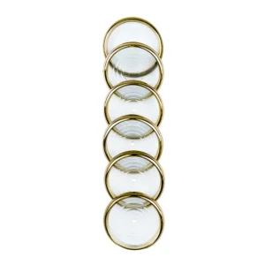 Discos G + Elásticos Dourado 12 Unidades- Caderno Inteligente