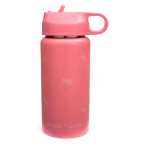 Garrafa de Inox Picnic 500ml- Leo&Leo