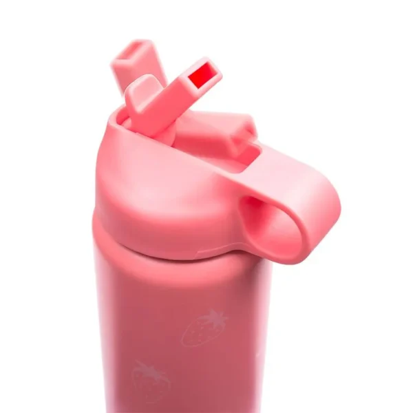 Garrafa de Inox Picnic 500ml- Leo&Leo - Imagem 2