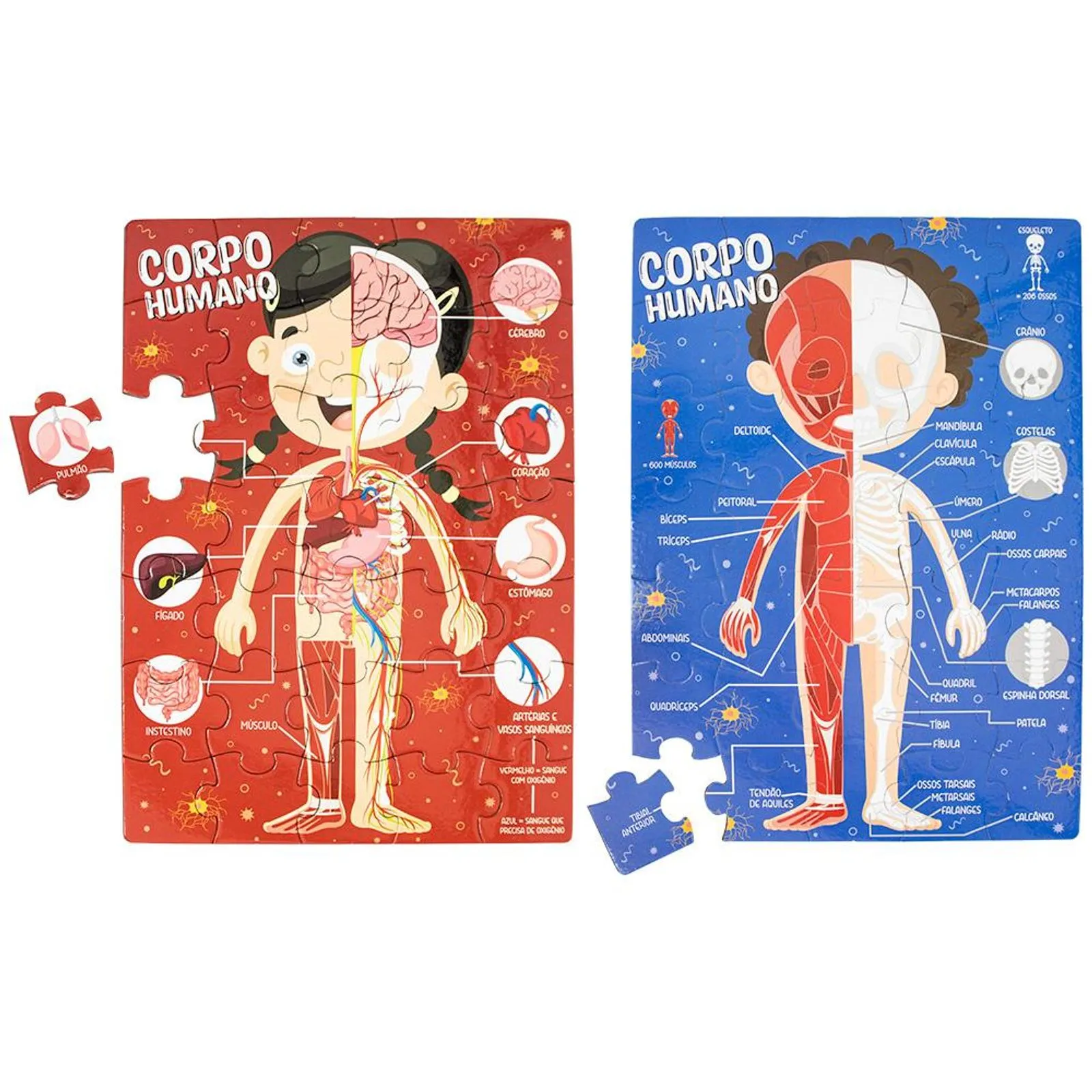 Livro Play: Quebra Cabeça + Livro Corpo Humano- Todo Livro - Imagem 3