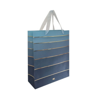 Sacola de Presente Decorada G 315mmX265mm Azul- DAC